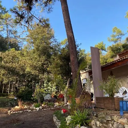 L'oasis Des Tamaris *