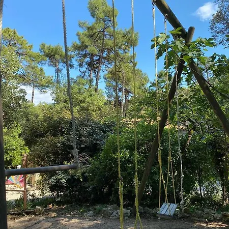 L'oasis Des Tamaris *