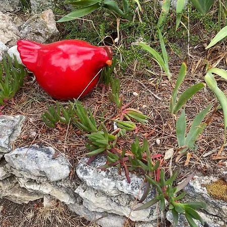 L'oasis Des Tamaris Holiday home *