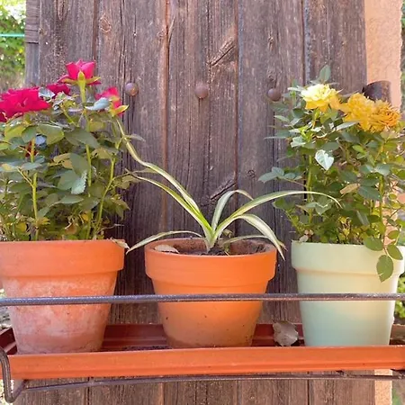 L'oasis Des Tamaris Holiday home *