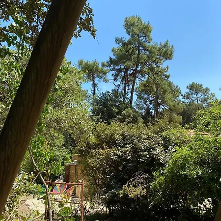 L'oasis Des Tamaris
