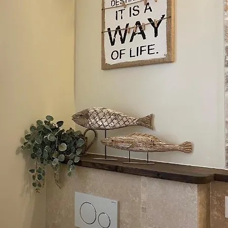 L'oasis Des Tamaris Les Sables Vignier