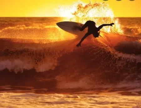 L'oasis Des Tamaris Les Sables Vignier