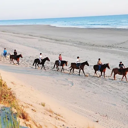 Holiday home L'oasis Des Tamaris Les Sables Vignier