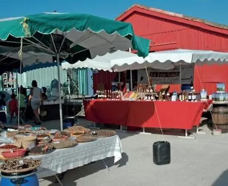 L'oasis Des Tamaris Holiday home *