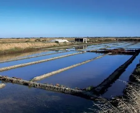 Holiday home L'oasis Des Tamaris *