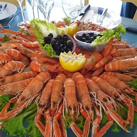 L'oasis Des Tamaris * Les Sables Vignier