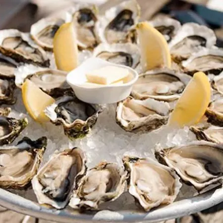 L'oasis Des Tamaris Les Sables Vignier